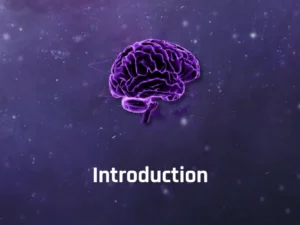 Introduction - Braindrills