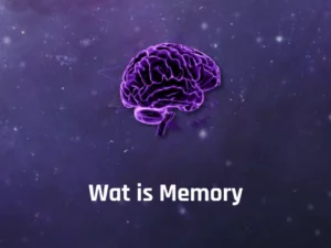 What is memory - braindrills